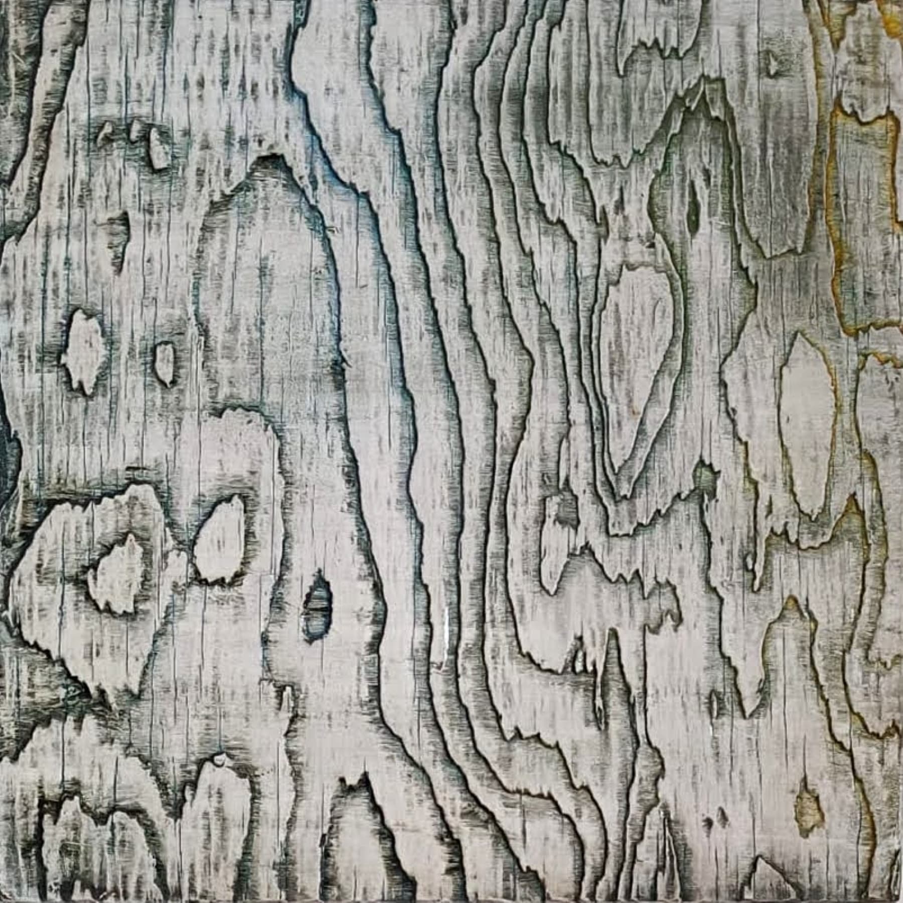 Técnica Mixta 20x20